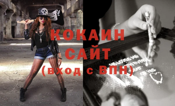 шишки Михайлов