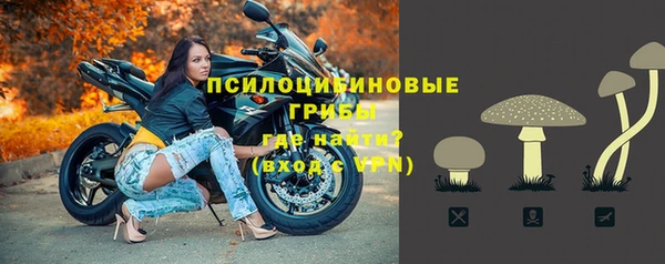 шишки Михайлов