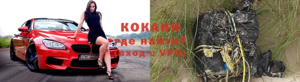 шишки Михайлов