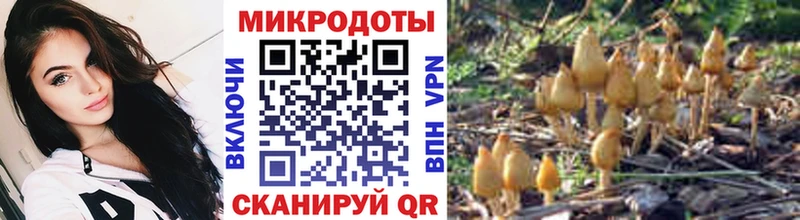 blacksprut ONION  Владивосток  Галлюциногенные грибы Cubensis 