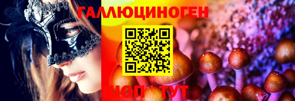 Псилоцибиновые грибы MAGIC MUSHROOMS Владивосток