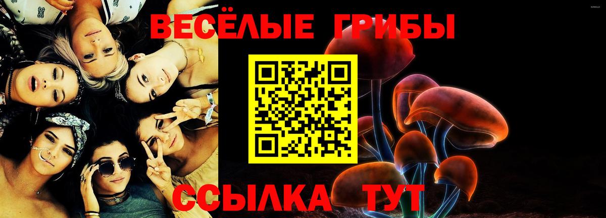 Владивосток  Галлюциногенные грибы MAGIC MUSHROOMS  Вход с VPN 
